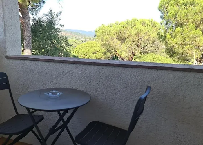 Villa Ste Maxime 5 Etoiles Piscine Chauffee Et Jacuzzi