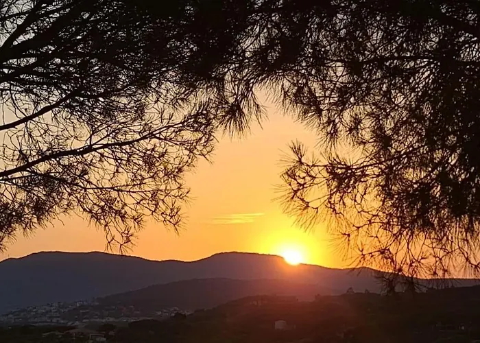 Villa Ste Maxime 5 Etoiles Piscine Chauffee Et Jacuzzi