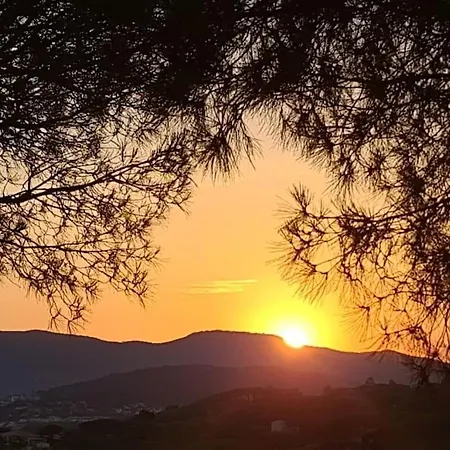 Villa Ste Maxime 5 Etoiles Piscine Chauffee Et Jacuzzi