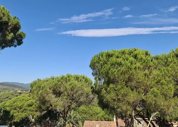 Ste Maxime 5 Etoiles Piscine Chauffee Et Jacuzzi Villa